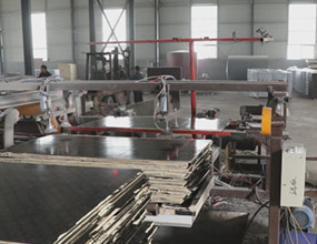 建筑模板全自動鋸邊機